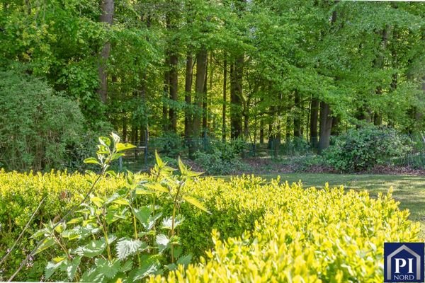 Vom Grundstück direkt in den Wald