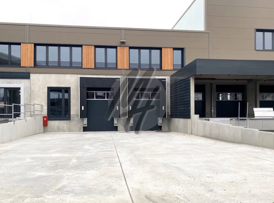 INFOS UNTER: 06171-586000