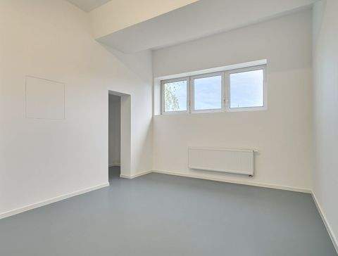 Teningen Halle, Teningen Hallenfläche