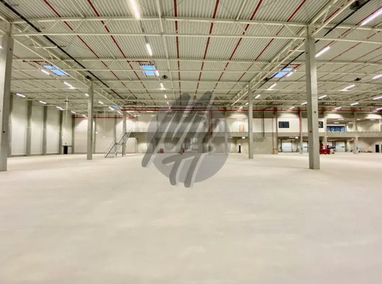 INFOS UNTER: 06171-586000