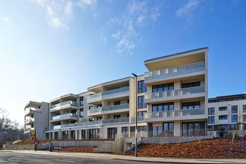 Dresden Wohnungen, Dresden Wohnung mieten