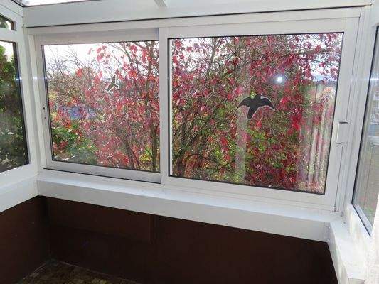 kleiner Wintergarten