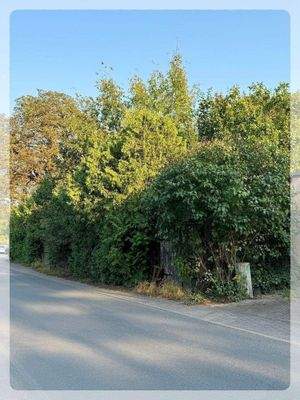 Mühlenbeck-Mönchmühle - Baugrundstück