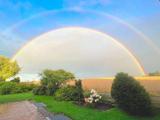 Ausblicke übers Jahr