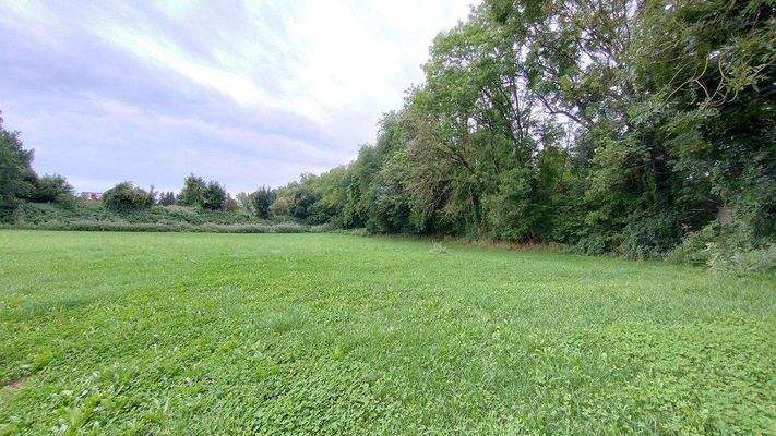 Grundstück Bild 1.jpg