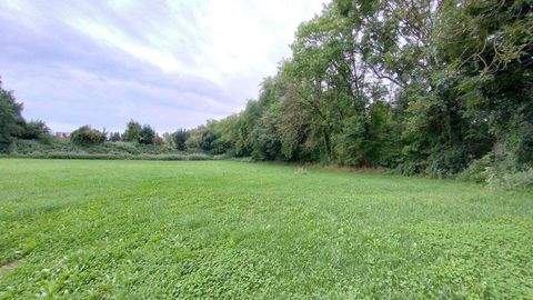 Pastetten Bauernhöfe, Landwirtschaft, Pastetten Forstwirtschaft