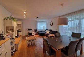 Wohn- und Essbereich