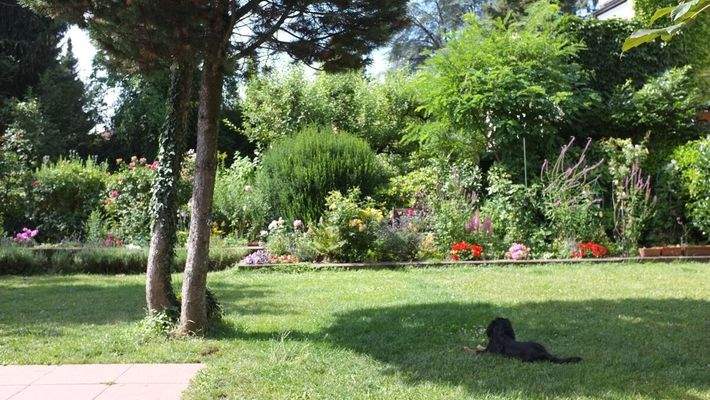 Wunderschöner Garten