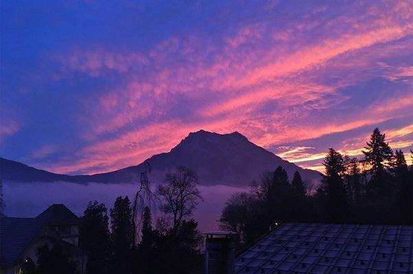 Impression - faszinierendes Farbspiel aus orange, rosa und violett