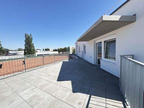 Wiener Neustadt Wohnungen, Wiener Neustadt Wohnung mieten