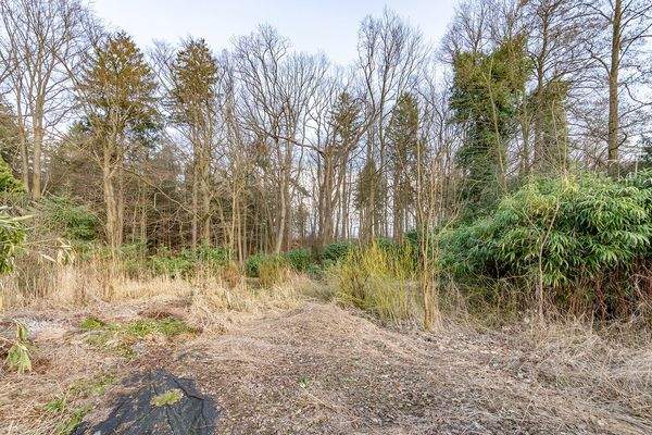 Gestalterische Freiheit