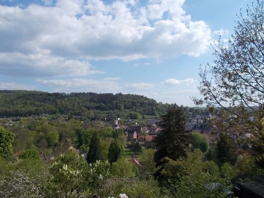 Blick über Büdingen