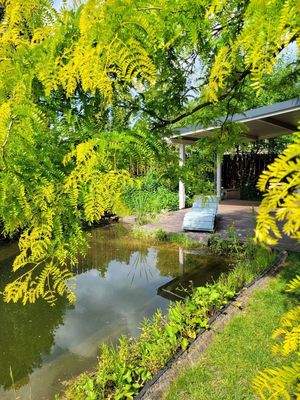 Schwimmteich mit Terrasse