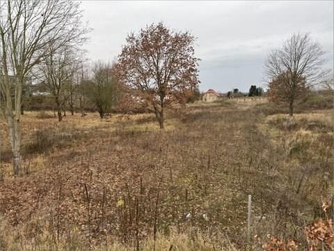 Eberswalde Grundstücke, Eberswalde Grundstück kaufen