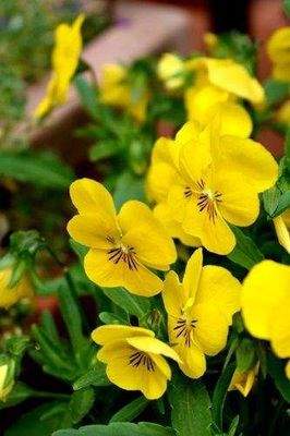 .. Wohnen und Arbeiten !