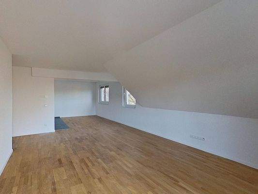 Ansicht III: Wohn- und Esszimmer mit offenem Küchenbereich