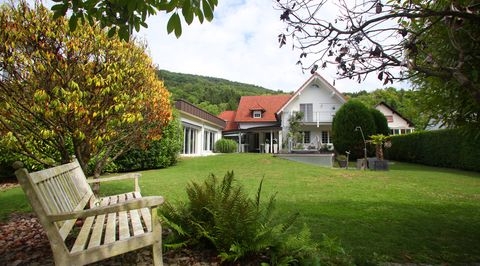 Wissembourg Häuser, Wissembourg Haus kaufen