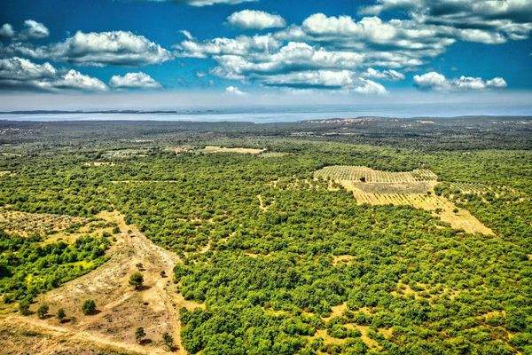 Umgebung mit der Drohne aufgenommen