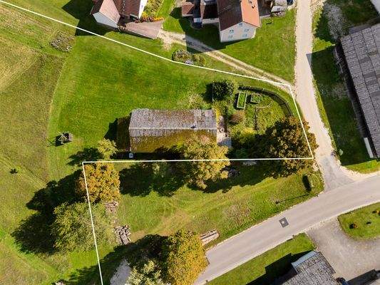 Luftaufnahme Altbestand