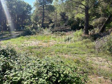 Vir Bauernhöfe, Landwirtschaft, Vir Forstwirtschaft