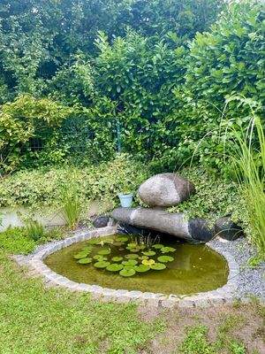 Hintergatren Teich