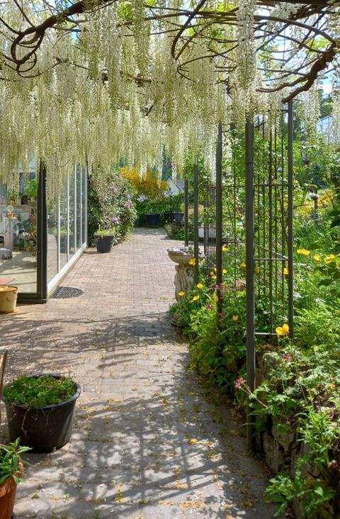 Freudenberg Häuser, Freudenberg Haus kaufen