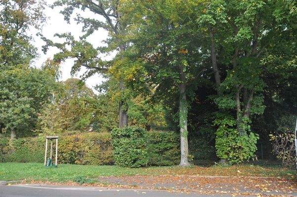 Blick in den Schlosspark