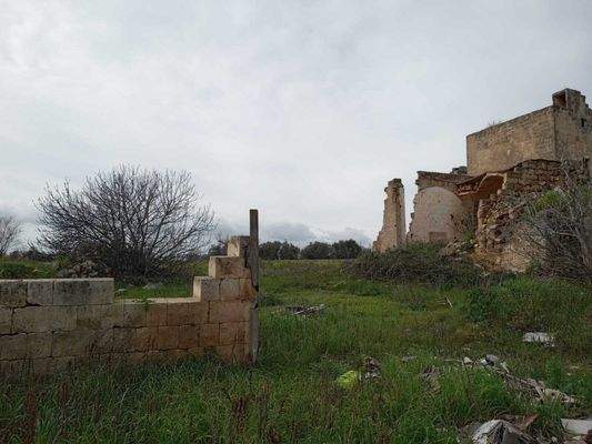 Masseria li Rizzi in Copertino (Lecce)