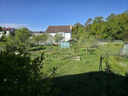 Blick in den Garten