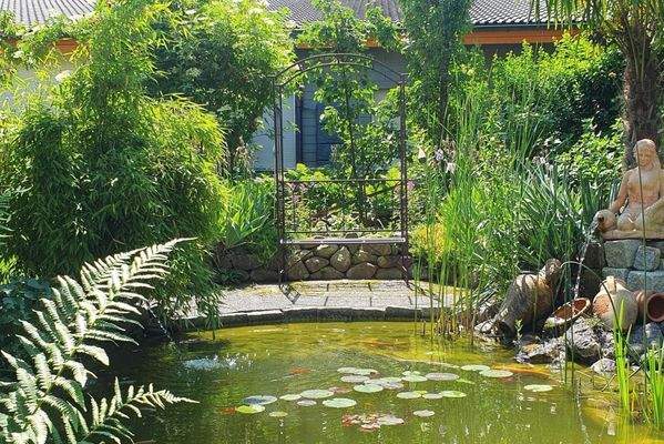 Teich mit Garten - Sommer