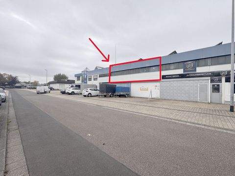 Sankt Augustin Halle, Sankt Augustin Hallenfläche