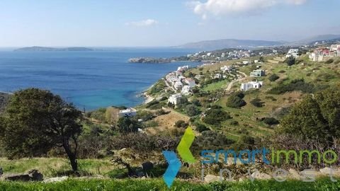 Mpatsi, Andros Bauernhöfe, Landwirtschaft, Mpatsi, Andros Forstwirtschaft