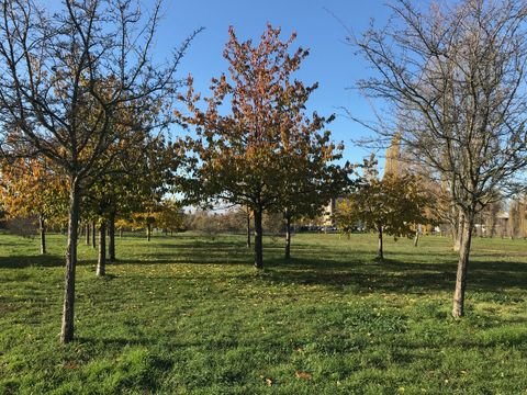 Berlin Grundstücke, Berlin Grundstück kaufen