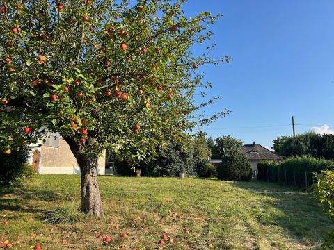Herzfelde Grundstücke, Herzfelde Grundstück kaufen