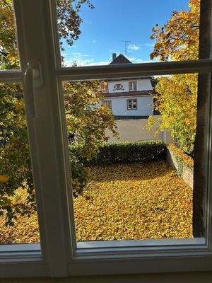 Gartenblick von der Küche aus