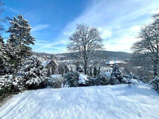 Ausblick im Winter