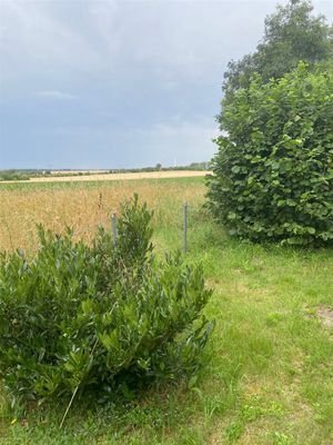 freier Blick übers Feld