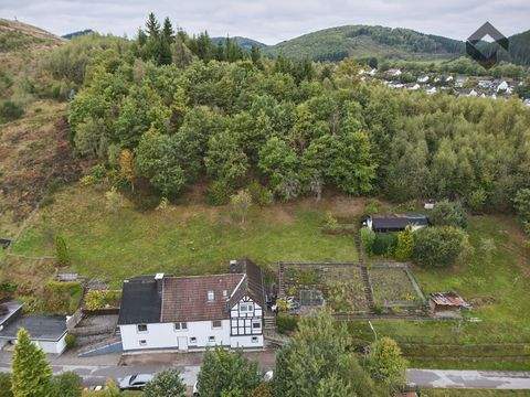 Lennestadt Häuser, Lennestadt Haus kaufen