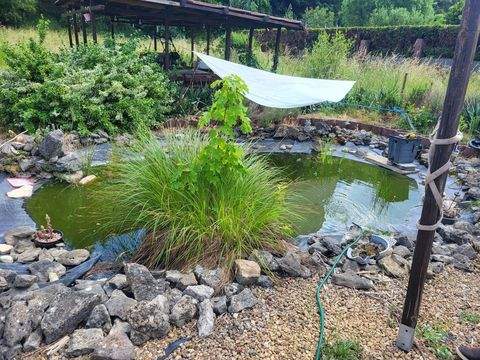 Völklingen Häuser, Völklingen Haus kaufen