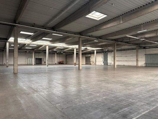 WhatsApp Image 2024-01-25 at 15.15.40