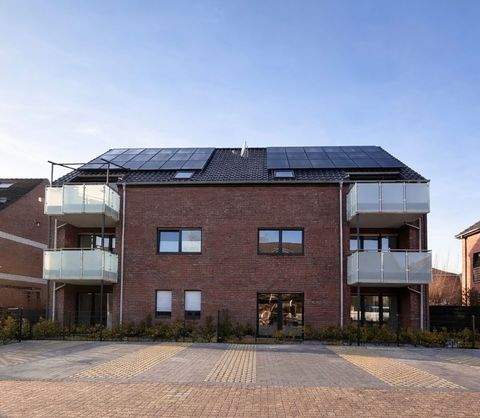 Rhede Wohnungen, Rhede Wohnung mieten