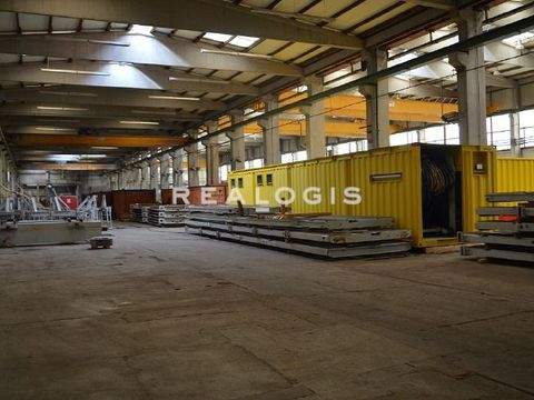 Baden-Baden Halle, Baden-Baden Hallenfläche