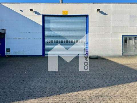 Köln Halle, Köln Hallenfläche