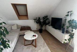 WhatsApp Bild 2025-11-10 um 14.38.01_043e55a3 - Kopie.jpg