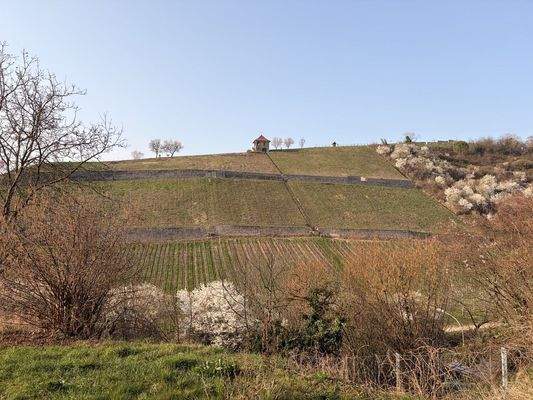 Aussicht in die Weinberge
