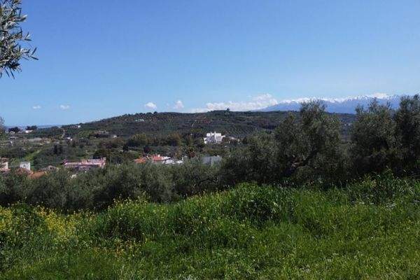Kreta, Tavronitis: Erstklassiges Grundstück in der Nähe des Strandes zu verkaufen