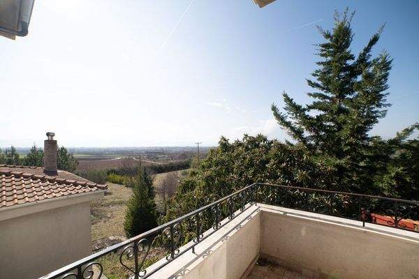 Krinides-Tsiriktsidou 23-02-2024-33.jpg