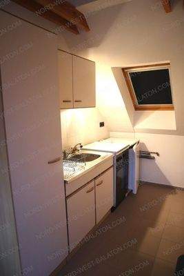 Studio mit Wohn-/Essbereich, Küchenzeile und Bad