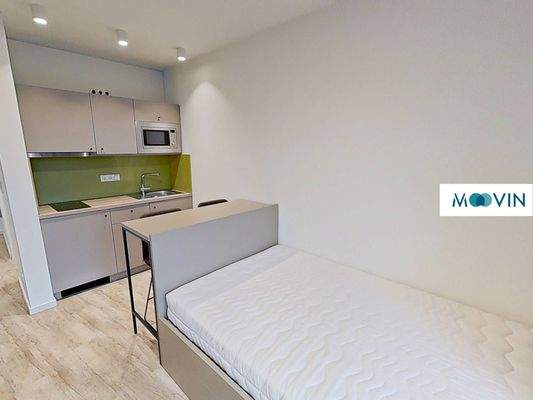 Ansicht III: Wohn- und Schlafzimmer mit offenem Küchenbereich