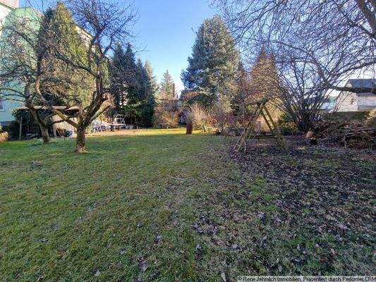 Blick zum Haus von der Mitte des Grundstückes